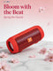 Portable Bluetooth Speaker, Stereo Surround, FM Radio Mini for Travel & Home